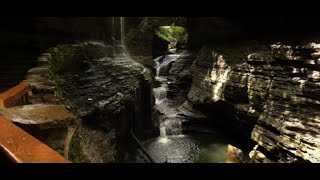 Lokean Gaming: Get Lost In Nature With Luke