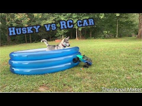 Husky  vs RC car