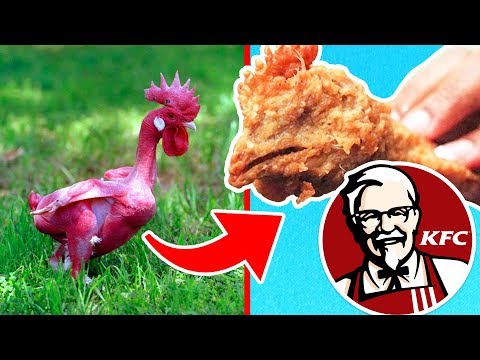 Top 10 des secrets troublants que KFC ne veut pas que vous sachiez