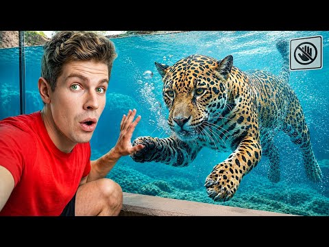I Bought Exotic Zoo Animals! 