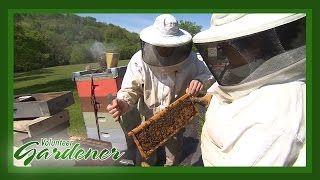 Williams Honey Farm | Volunteer Gardener