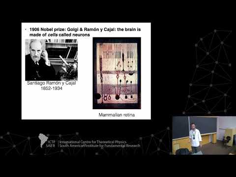 Mauro Copelli: Brain criticality - Class 1