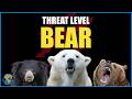 All 8 Species Of Bear Ranked By How Dangerous They Are