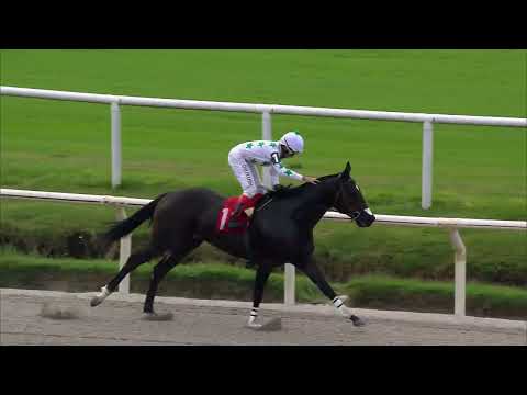 230506 c01 LITTLE ROY