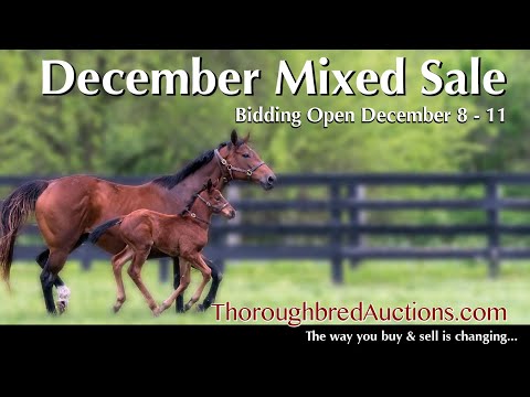 Hip No. 20 - I'm a Buckpasser