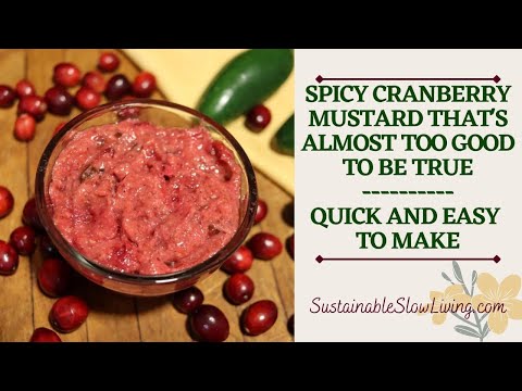 SPICY CRANBERRY MUSTARD THAT'S ALMOST TOO GOOD TO BE TRUE || QUICK AND EASY TO MAKE