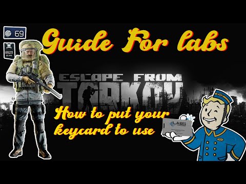 In-Depth guide on how to get succesful raids on labs