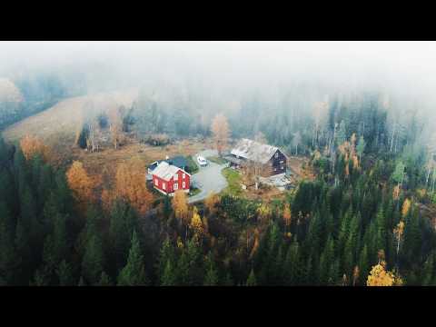 Cozy Autumn days at our Northern Homestead | #05 Farm Diaries