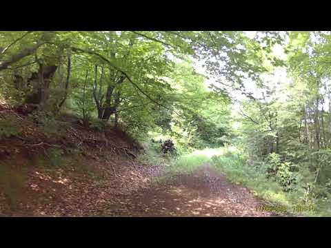 Ricaedy-Baza Releu Herculane