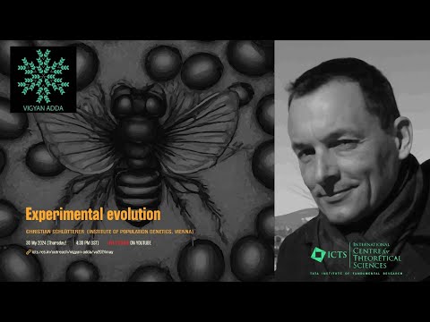 Experimental Evolution by Christian Schlotterer