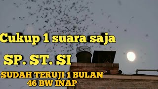 Download lagu BERBAGI SUARA WALET SUDAH TERUJI 1 BULAN INAP 46 EKOR mp3 Download lagu BERBAGI SUARA WALET SUDAH TERUJI 1 BULAN INAP 46 EKOR mp3