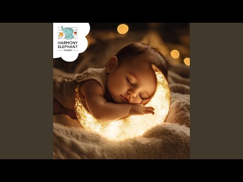 Sailing the Sleepy Seas