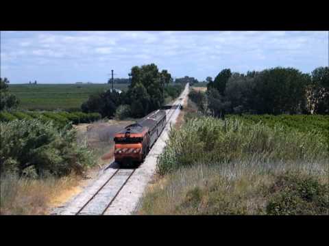 Comboio Especial n.º 13854 (PTG) - Caia