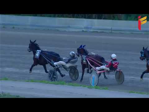 VII Corsa del 1 Febbraio 2022 - Metri 1600 - 3 Anni