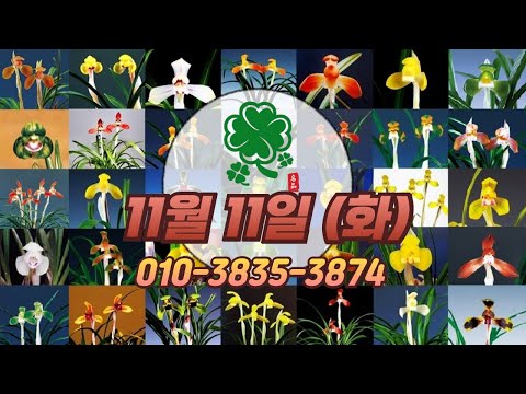 유튜브 썸네일