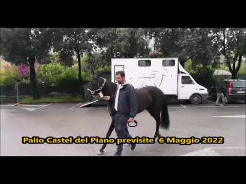 Palio Castel del Piano previsite 6 Maggio 2022  Palio Straordinario