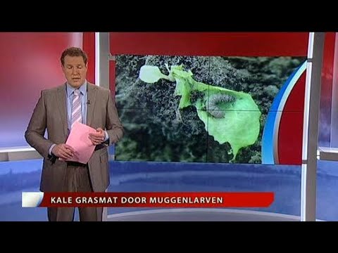 GLD Nieuws 27 februari 2010 - Nieuws