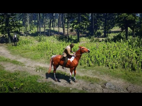Arthur catch a best horse - Red Dead Redemption 2 Gameplay