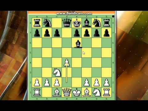 Kad vezete LOVCA i DAMU u sahu sledeci potez je MAT-- INGRAM vs Mc DONALD # 204 sah i mat