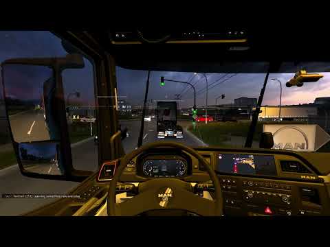 REPORT TRUCKERSMP P31 TruckersMP ID: 5583511