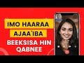Imo Haaraa Ajaa Iba Beeksisa Hin Qabnee Imo Qulqulluu