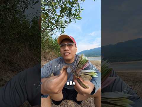 🔥 Cầm Cả Xấp Tiền Thách Lặn Dưới Nước 1 Phút! #shorts #funny #trending #thuthach