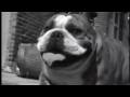 VSpy VSpy Hardtimes Music Video