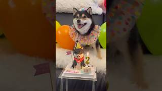 Download lagu Manyu is 2 years old! Happy Birthday! mp3