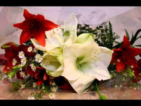 Aija Rimša.....wmv "Šūreit Agri Sauļa Ļeice"