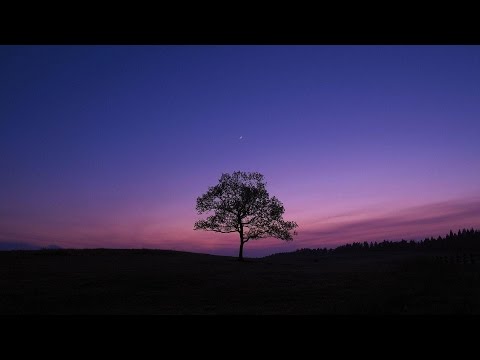 RELAXING MUSIC  (Panflute)