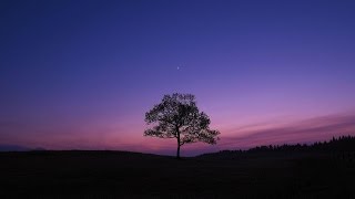 The Panflute Classics