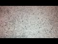 Demonstration On My Panasonic VCR On My Beauty And The Beast 1992 VHS Version 2