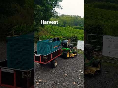 Harvest 2026 #englishsparklingwine #vineyard #vineyards