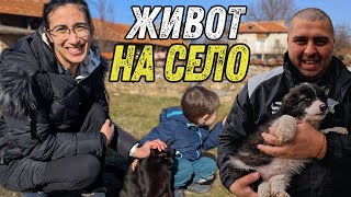 СЕЛО, ГРАДИНА И КУЧЕНЦА: СЕМЕЙНИ МОМЕНТИ НА ЩАСТИЕ