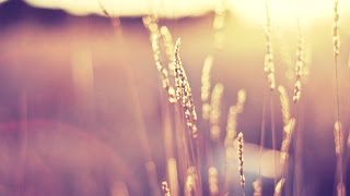 Rameses B - Timeless ft. Veela