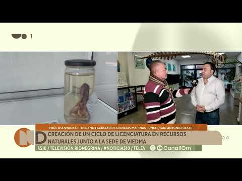 Ampliación de las propuestas académicas: nuevas carreras combinando diferentes modalidades