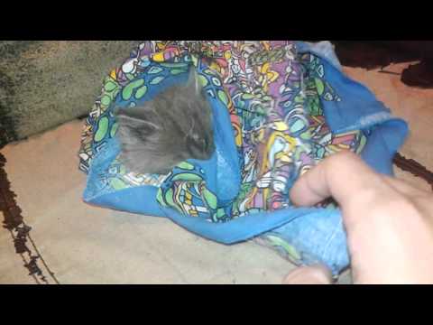 Don't take my blanket!