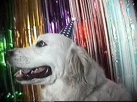 Addison Grace - I Miss You(r Dog) (Official Music Video)