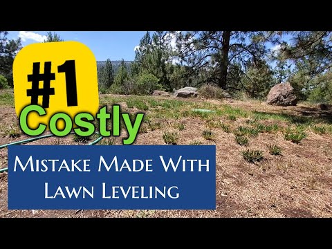 The Secret Nobody Tells You About Lawn Leveling Rakes