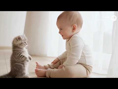“Cute Baby Kitten with Relaxing Music | Ultimate Soothing Video”