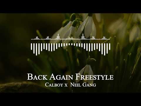Calboy x  Neil Gang - Back Again Freestyle