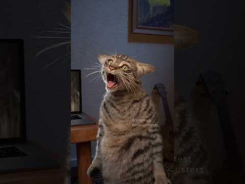 Horror Movie Cat Cliché