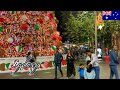 Sydney Christmas Walk Martin Pl Christmas Tree From Chinatown 4K 60fps