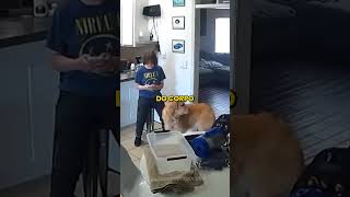 Ela m4t0u a propria mae, sorriu no tribunal e chorou ao ouvir a sentença