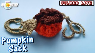 Pumpkin Circle Sack - LIVE Crochet Workshop - Nov. 9, 2024