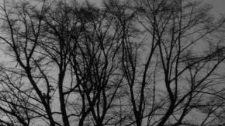 Cemetery Of Scream -Prolog,deszcz jesienny