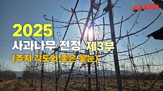 [사과재배] 가볍게 절단하라/주지유인과 주지절단법/꽃눈형성과 중.단과지 촉진/ 견제지의 활용과 수세안정 20…
