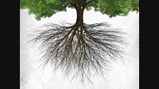 08 Dream for You   Casting Crowns