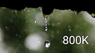 Rain Whatsapp Status Video Mayanadhi Theme