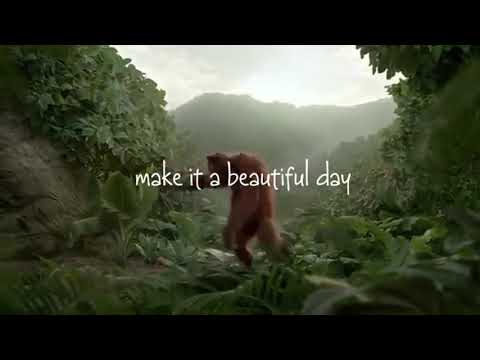 joyeux anniversaire !